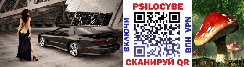 Псилоцибиновые грибы Magic Shrooms  сколько стоит  Чебоксары 